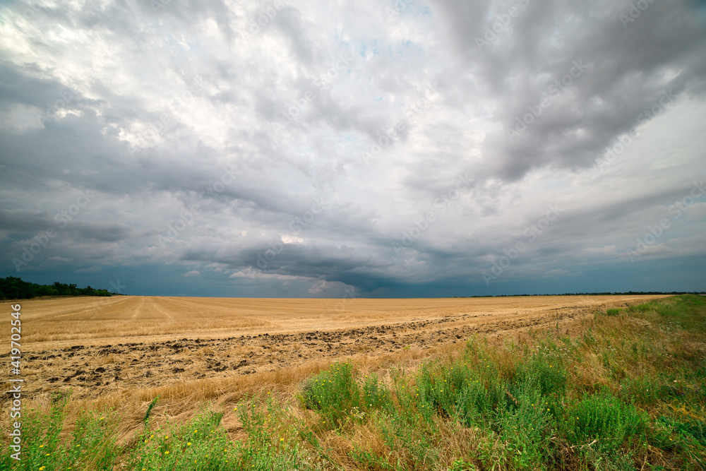 storm clouds over a wheat field, a tornado is visible in the distance