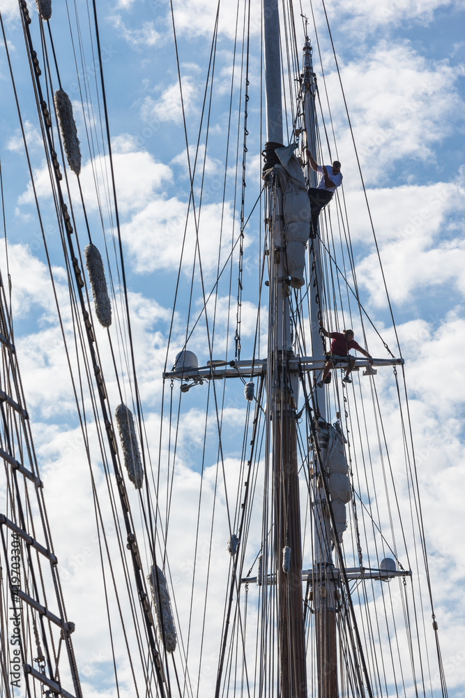 USA, Massachusetts, Cape Ann, Gloucester. Gloucester Schooner Festival, schooner masts at dawn.