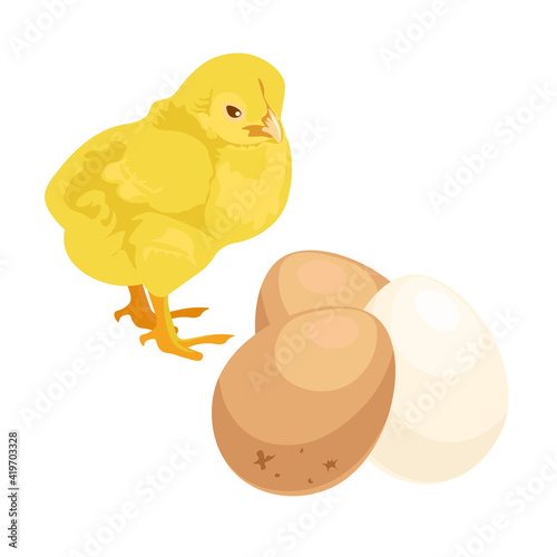 Small yellow chicken on a white background with chicken eggs: vector image. Easter. farm animals concept. healthy diet . healthy food