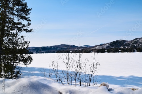 Winter in Mont-Tremblant provincial park  Quebec 
