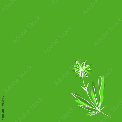 White line illustration of flower on a green background.