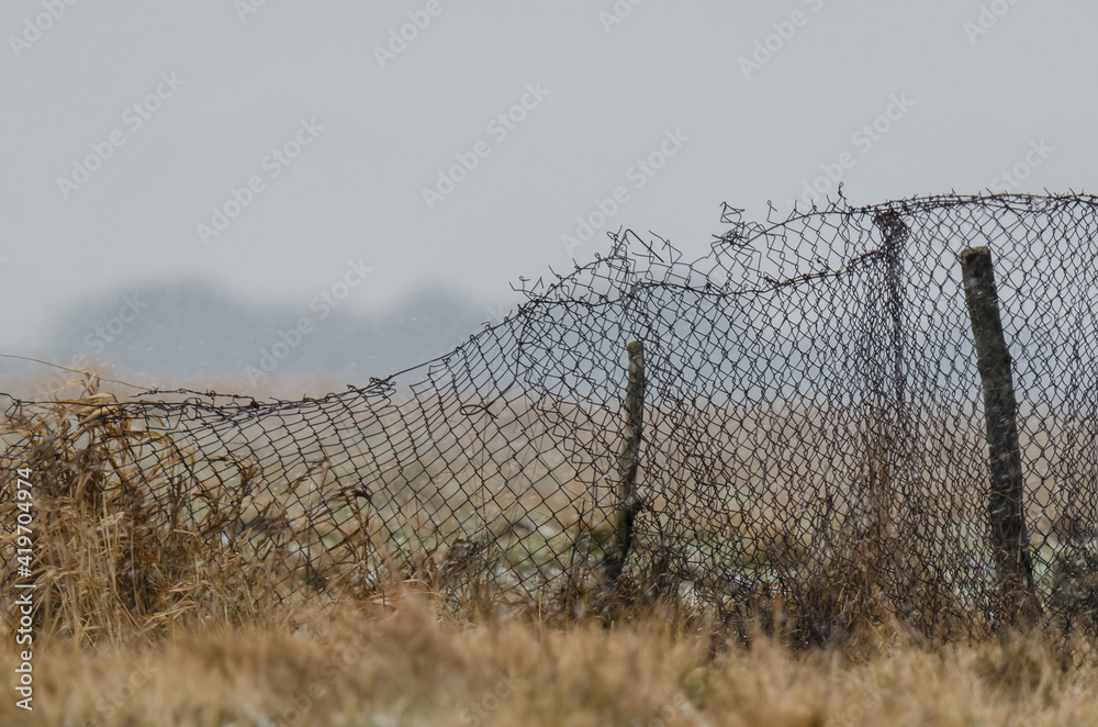 OLD METALIC MESH - Fence in the pasture and falling snow 
