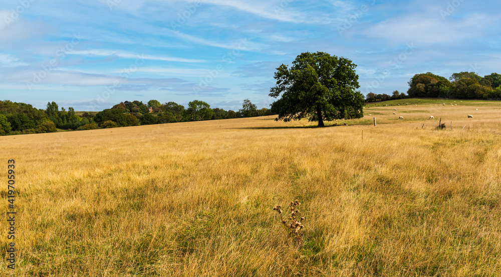 Country Scene between Egerton and Pluckley near Ashford in Kent, England