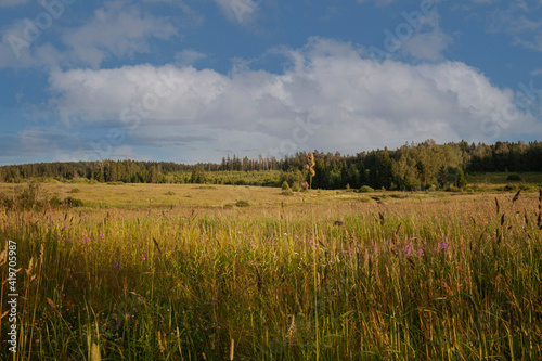 A sign in a field
