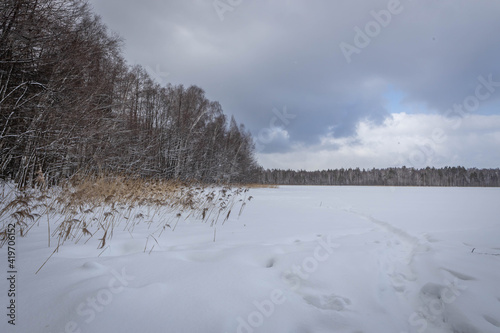 lake in the forest