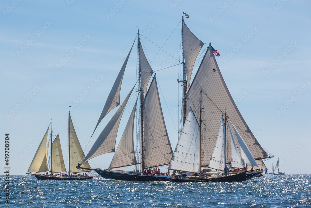 USA, Massachusetts, Cape Ann, Gloucester. Gloucester Schooner Festival, schooner parade of sail. USA, Massachusetts, Cape Ann, Gloucester. Gloucester Schooner Festival, schooner parade of sail.