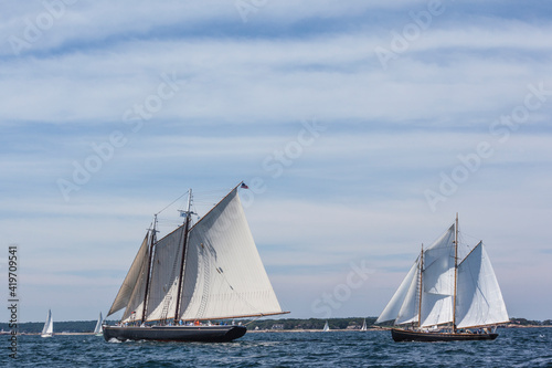 USA  Massachusetts  Cape Ann  Gloucester. Gloucester Schooner Festival  schooner parade of sail.