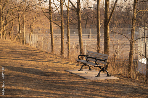 A bench in the evening