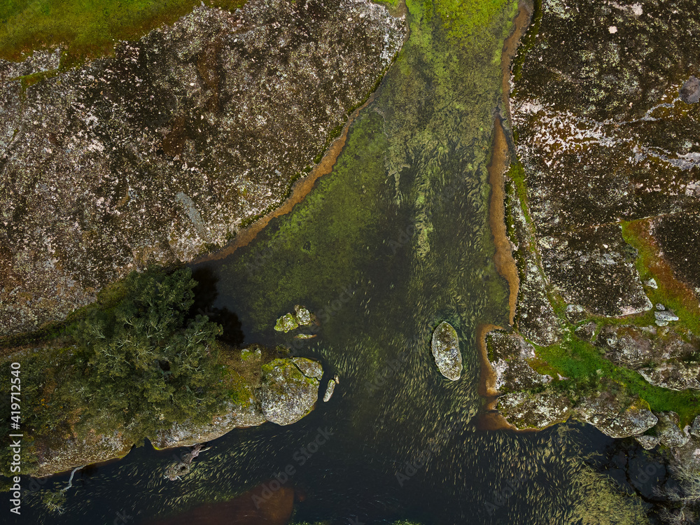 Landscape with lagoon in Dehesa de la Luz. Extremadura. Spain. Landscape with lagoon in Dehesa de la Luz. Extremadura. Spain.