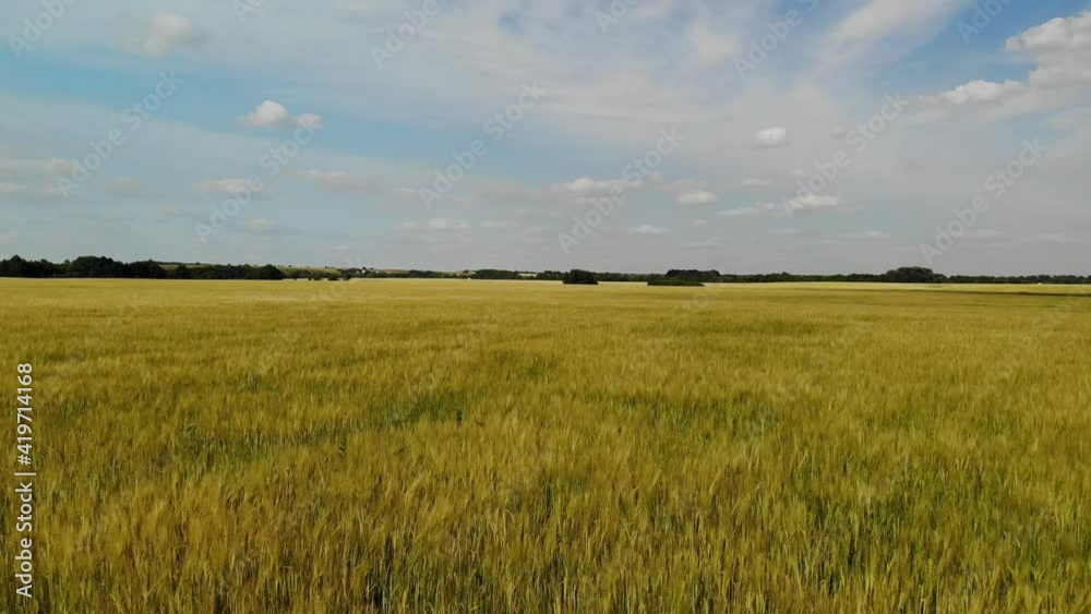 Moving forward over a ripe rye field, Russia Moving forward over a ripe rye field, Russia