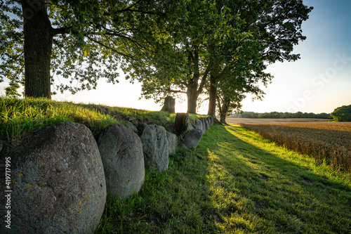 Regionale Ausflugsziele - Grabanlage Karlsminde bei Klein-Waabs unweit von Eckernförde. photo