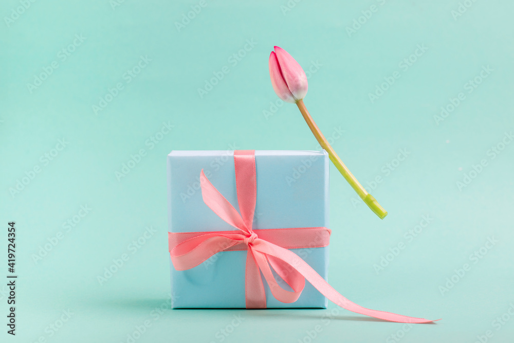 Beautiful pink tulip levitating on a turquoise color gift box tied with pink silk bow. Minimalist trendy still life. Beautiful pink tulip levitating on a turquoise color gift box tied with pink silk bow. Minimalist trendy still life.