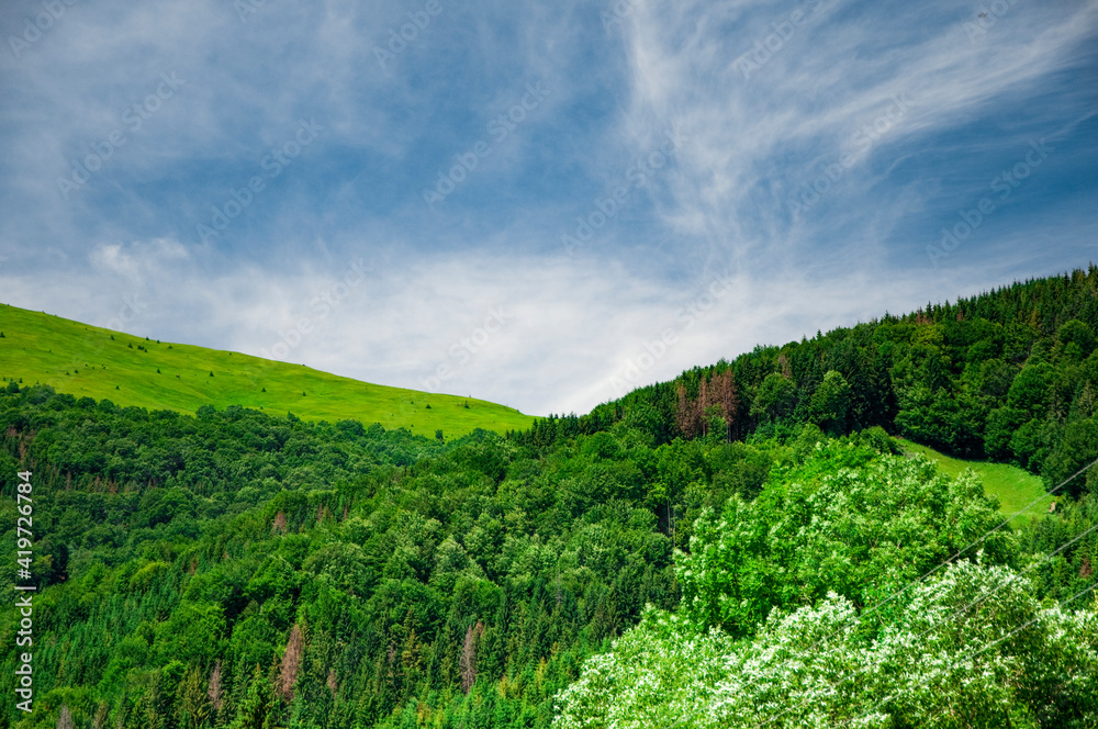 the mountain green valley with blue sky