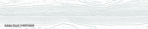 Vector white wood panel texture for backgrounds or design. Rustic grayscale wooden  wallpaper. White washed wood. Table top view. EPS10