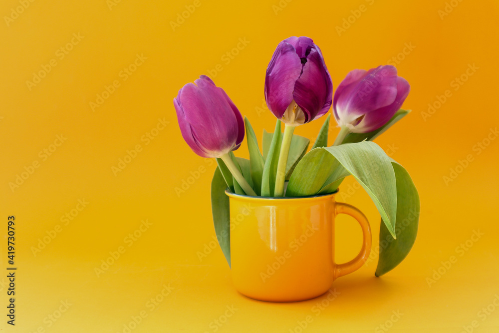 Bouquet of lilac tulips in a yellow cup on a yellow background, side view