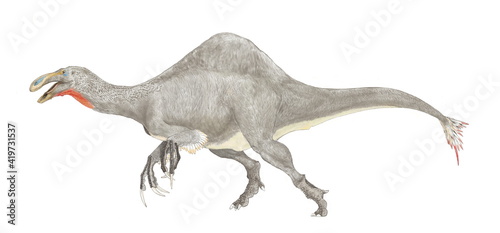 恐竜ディノケイルスの復元想像図。白亜紀末期に生存した大型雑食性の恐竜。最近まで全長4メートルの巨大な両腕の骨格のみが知られていたが、未確認の胴体部分が2006年、2009年に発見されていたことを確認し、再現性が一気に高まった。歯はなく、背中に高い帆を持つ。ディノケイルスという属名は「恐ろしい手」を意味するが、魚食と植物食の雑食性でおとなしい恐竜であったとされる。 © Mineo
