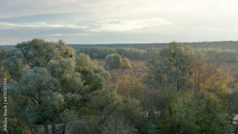 River in the countryside field. Flying over the trees by the river. River in the countryside field. Flying over the trees by the river.