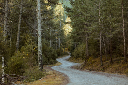 Spain, Pyrenees, Winding mountain road through forest