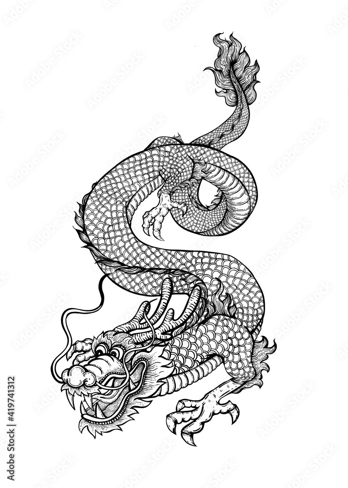 Fototapeta premium chinese dragon illustration on white background