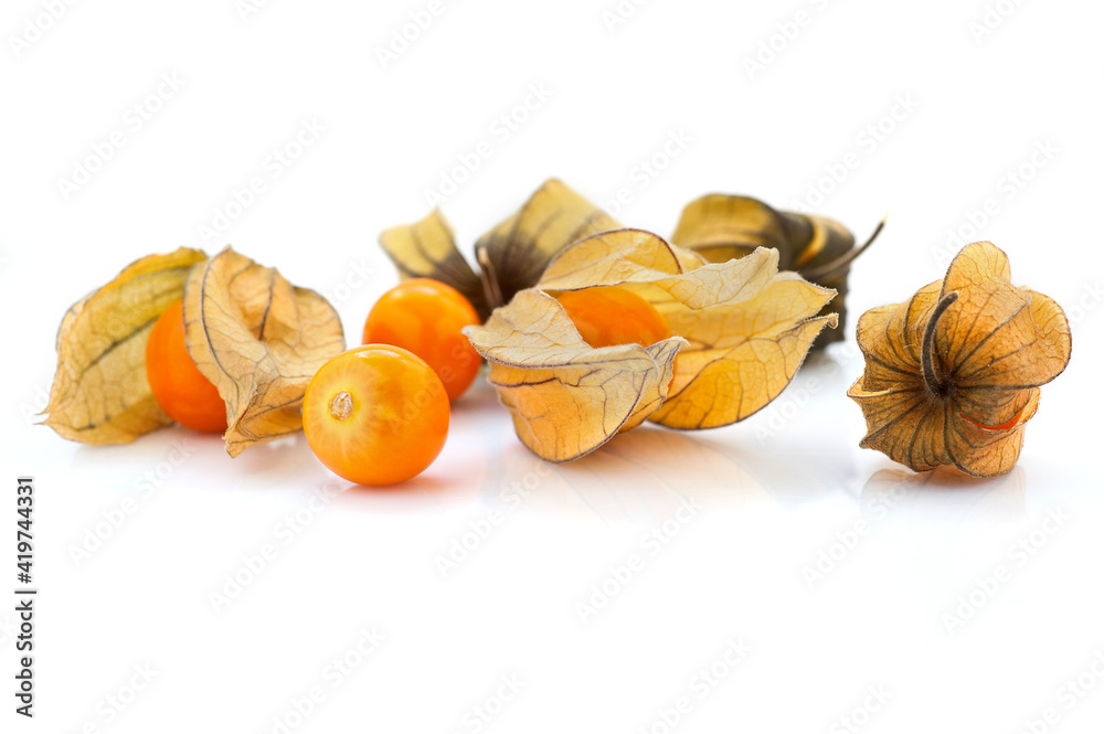 Physalis fruit ( Physalis peruviana) isolated on a white background Physalis fruit ( Physalis peruviana) isolated on a white background