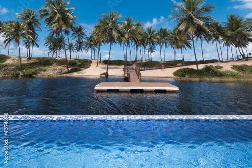 Infinity pool overlooking lake and coconut palms