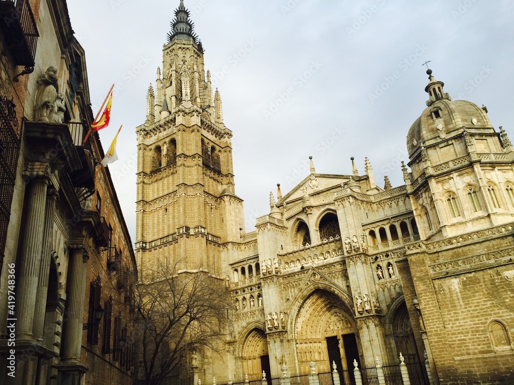 Fototapeta premium photo