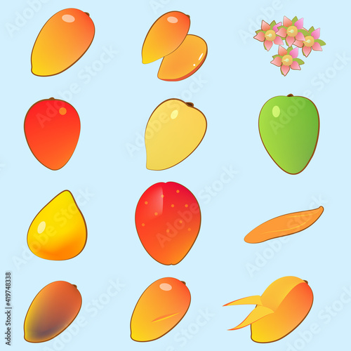 マンゴーコレクション - Mango Collection