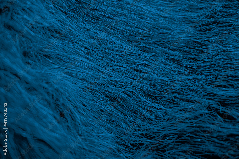 Blue Thread Design Blue Thread Design