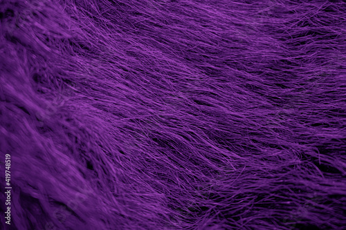 Purple Thread Design