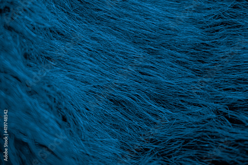 Blue Thread Design