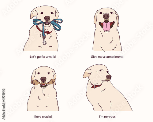 Various expressions of Golden Retriever.