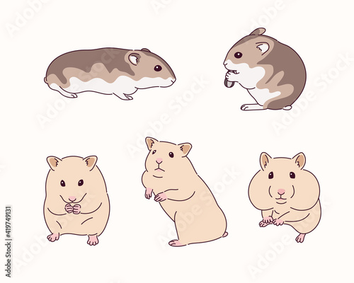 Cute hamster illustration