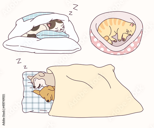 Dogs and cats sleep in cute poses.