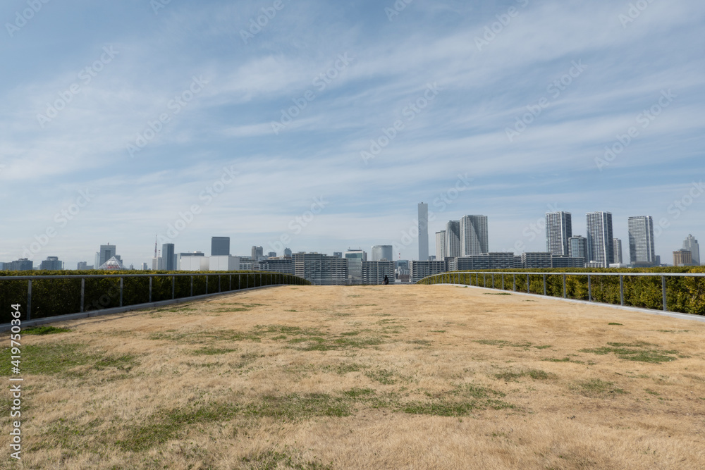 Rooftop lawn and buildings in Tokyo
