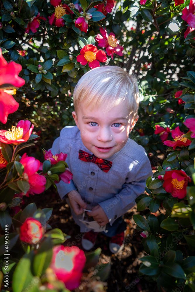 Toddler In Flowers