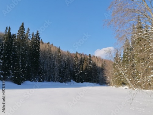 snow covered trees