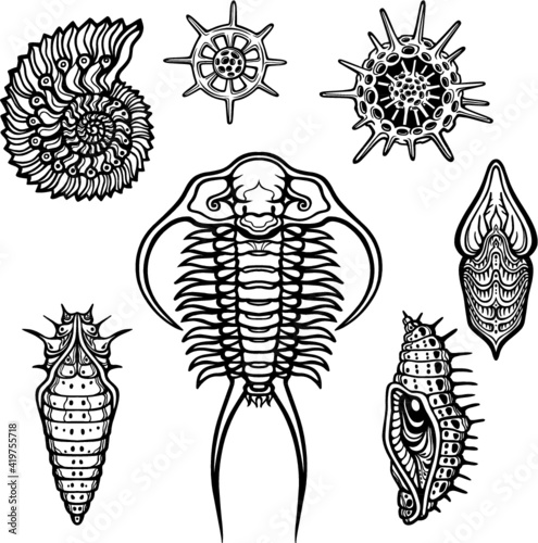 Set of the drawn images of live organisms: trilobit,  mollusk,  larva,  radiolaria. Vector illustration isolated on a white background.