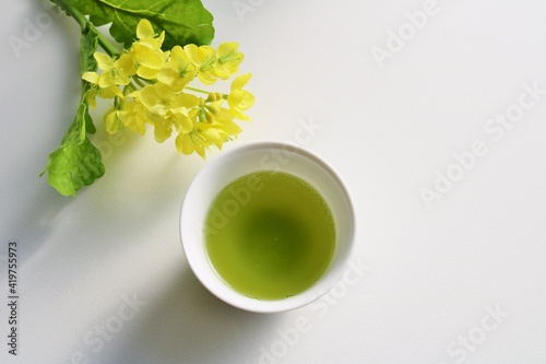お茶 緑茶 健康