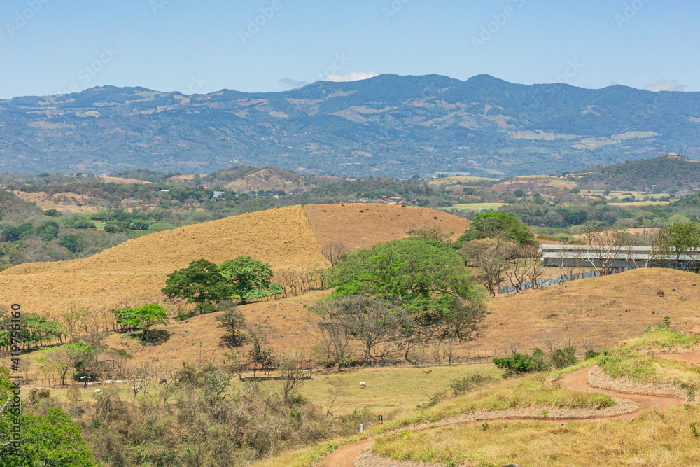 Landscape of mountains with trees