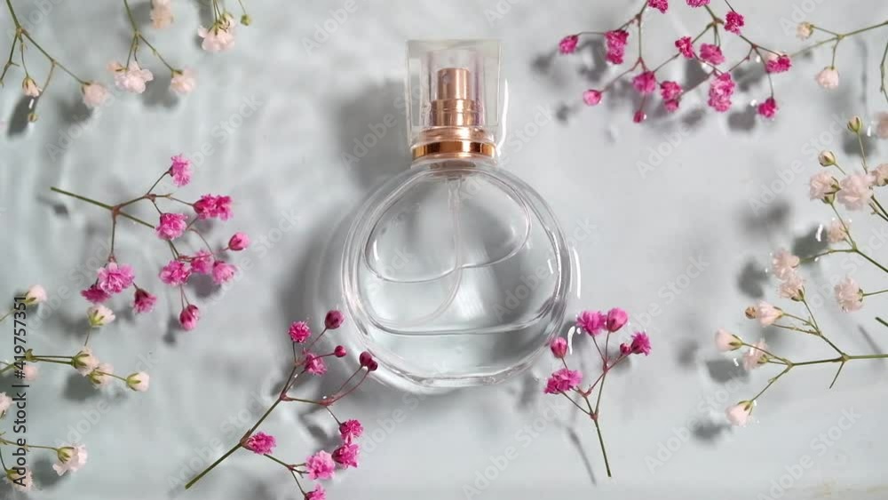 Glass perfume bottle and gypsophila flowers in blue water background. Floral arrangement, splashes and drops of water Glass perfume bottle and gypsophila flowers in blue water background. Floral arrangement, splashes and drops of water