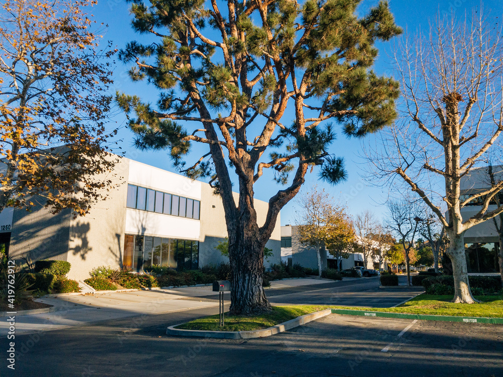 Manufacturing Buildings in Late Day