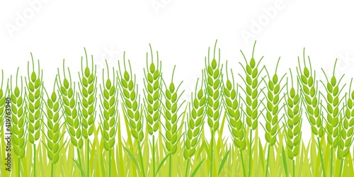 緑の麦畑背景なしイラスト