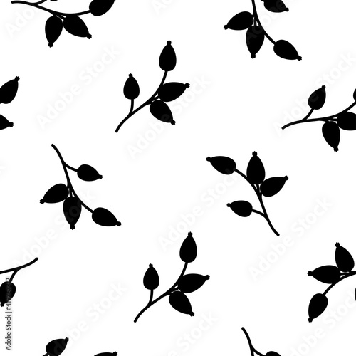 Floral Seamless pattern texture with wild rose black berries. White background.