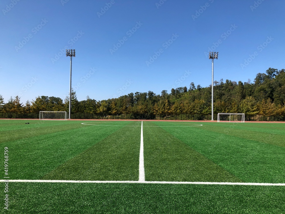 green artificial grass soccer stadium