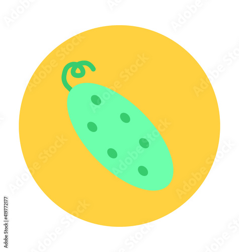 Bitter Gourd Vector Icon