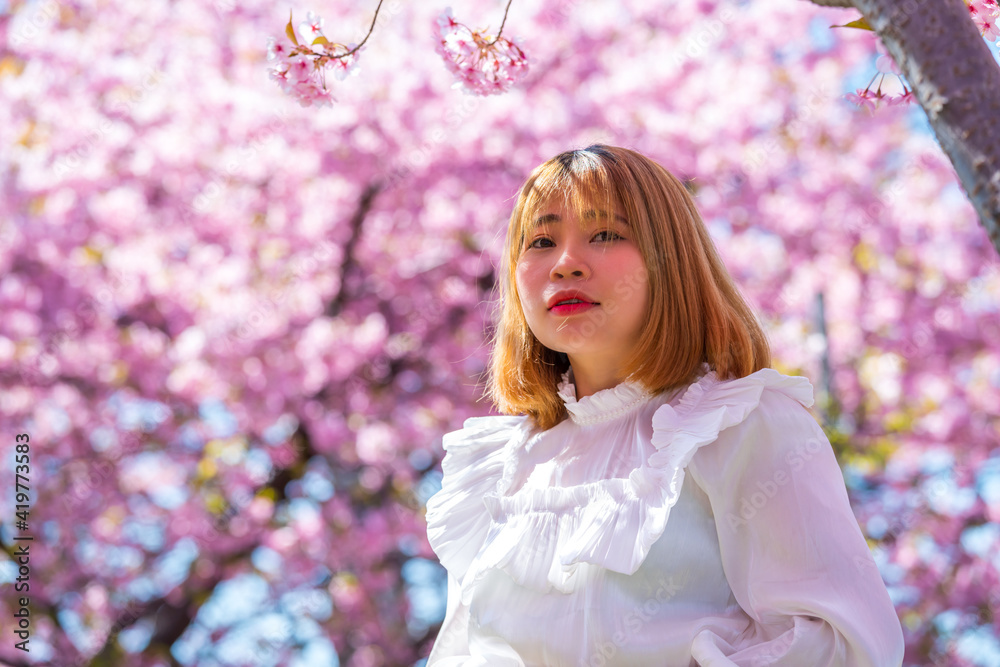 河津桜と若い女性 河津桜と若い女性