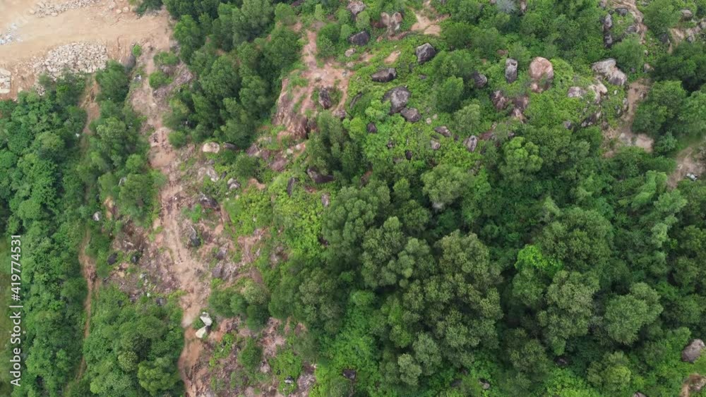 Deforestation of green tree in aerial view. Yellow soil dug from forest Deforestation of green tree in aerial view. Yellow soil dug from forest