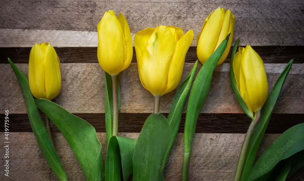 yellow bouquet of tulips on the background of wooden boards yellow bouquet of tulips on the background of wooden boards