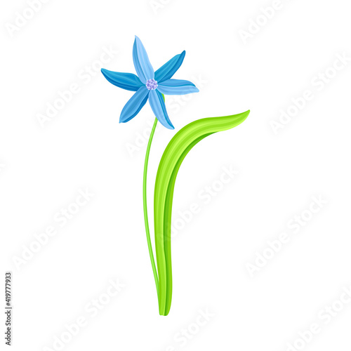 Blue Pendulous Flower of Snowdrop or Galanthus Bulbous Perennial Specie Vector Illustration