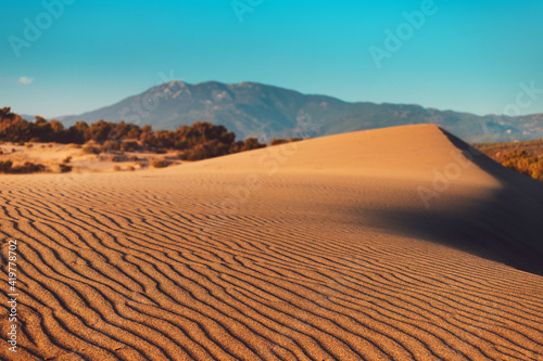Majestic view of orange sand dunes and hills glow in the rays of the warm sunset in a tropical country. Bushes and distant mountains in the background